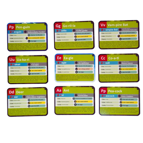 Joc lingvistic Learning Cube® - Arca lui Noe [3]