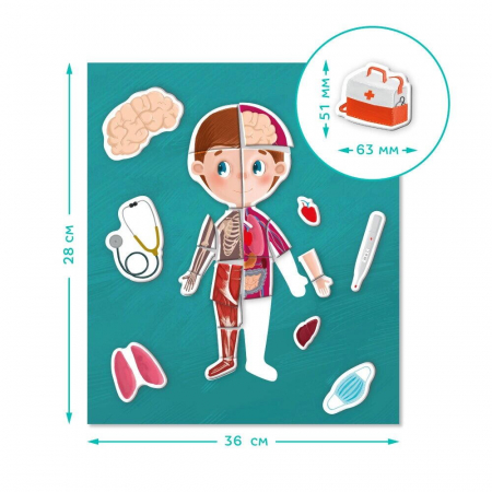 Joc magnetic - Descopera corpul uman [4]