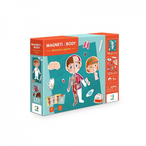 Joc magnetic - Descopera corpul uman [1]