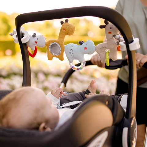 Jucarie carucior - Loopy si Lotta [4]