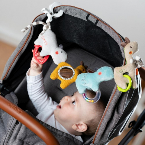 Jucarie carucior - Loopy si Lotta [2]