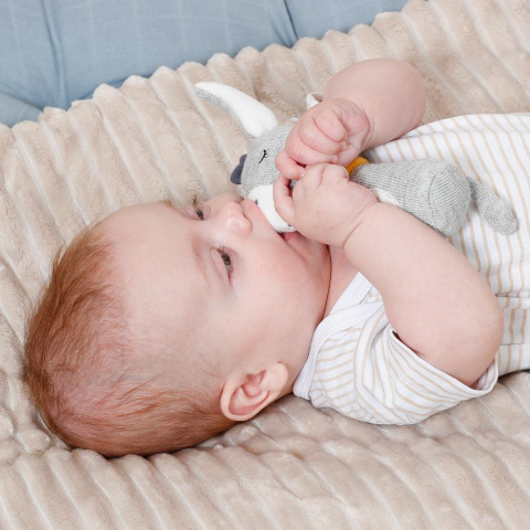 Jucarie dexteritate - Magarus somnoros [1]