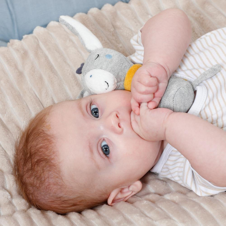 Jucarie dexteritate - Magarus somnoros [3]