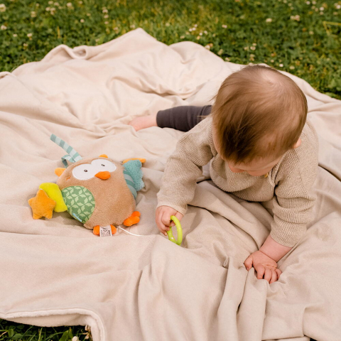 Jucarie muzicala - Bufnita somnoroasa (18 cm) [1]