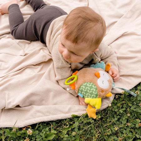 Jucarie muzicala - Bufnita somnoroasa (18 cm) [2]