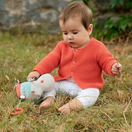 Jucarie muzicala - Hipopotam [2]