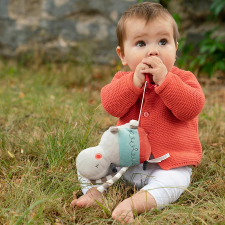 Jucarie muzicala - Hipopotam [1]