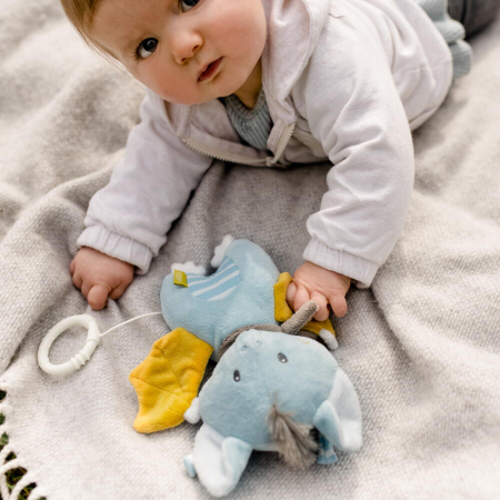 Jucarie muzicala - Liliac haios [2]