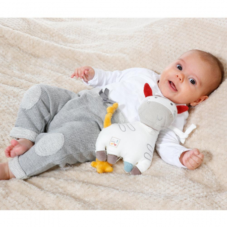 Jucarie muzicala - Zebra NATUR [2]