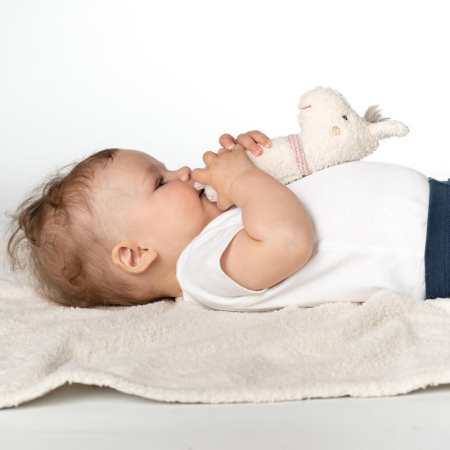 Jucarie pentru dexteritate - Lama [1]