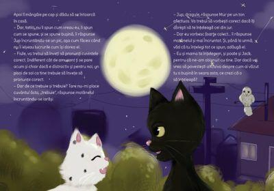 Jup, un pisoi de soi – volumul VIII – Jup si secretele noptii [1]