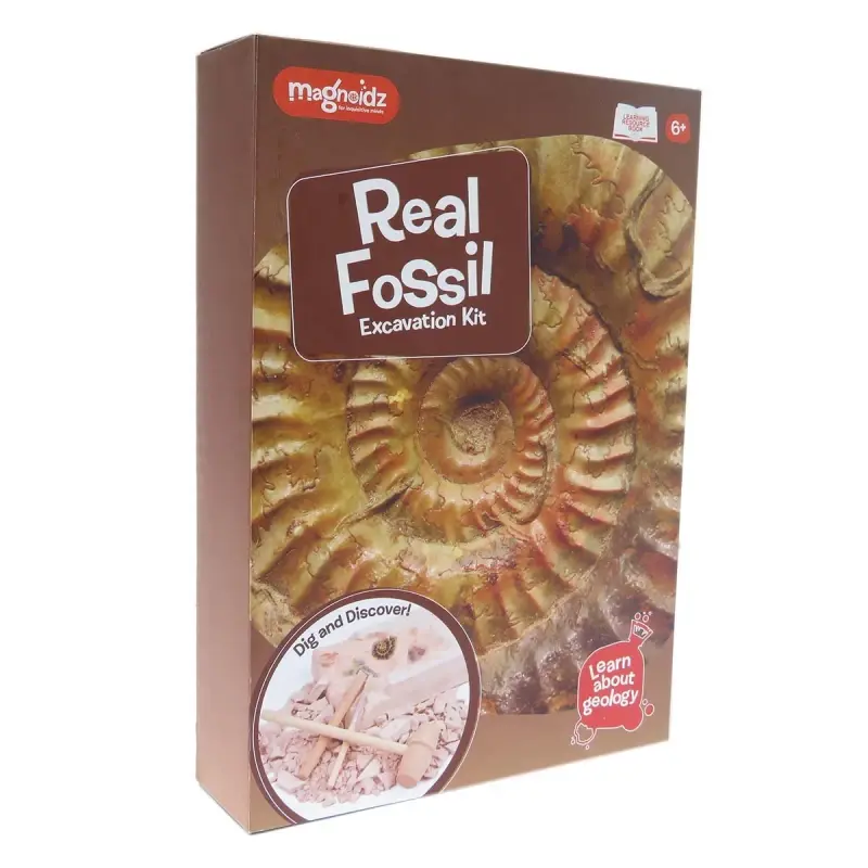 Kit paleontologie - Descopera fosile [2]