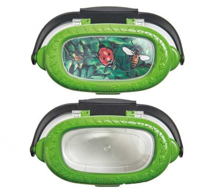 Observatorul pentru insecte [2]