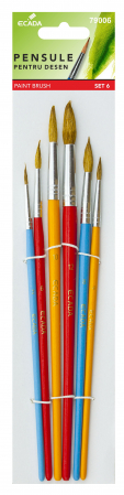 RECHIZITE - PENSULA SET 6 ECADA 79006