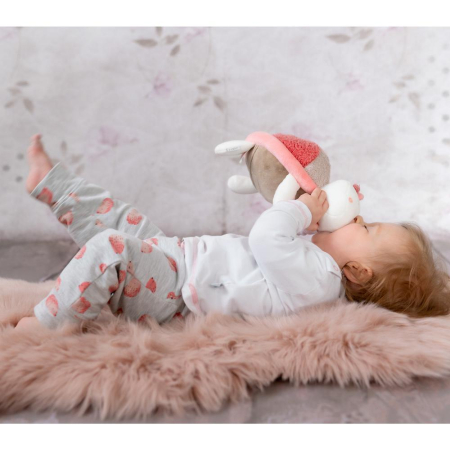 Pernuta anticolici - Broscuta testoasa [1]