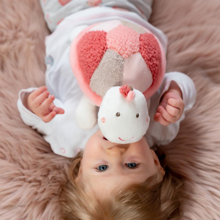 Pernuta anticolici - Broscuta testoasa [3]