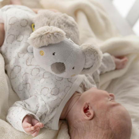 Pernuta anticolici - Ursuletul meu Koala [2]