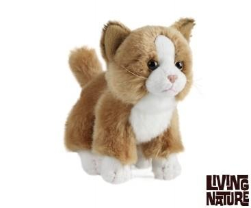 Pisicuta de plus [1]