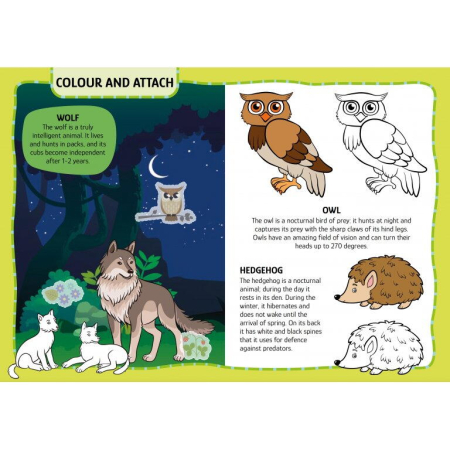 Primul set de arta & lucru manual - Animalute [3]