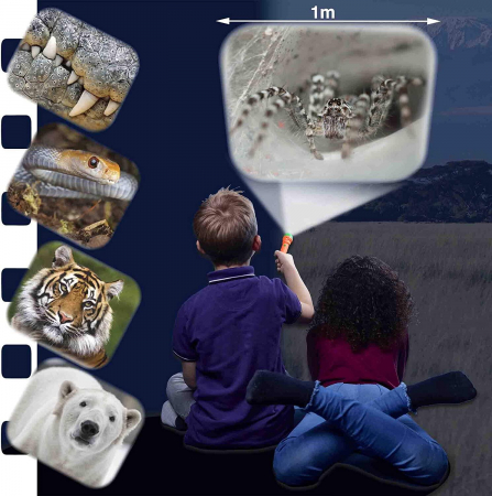 Proiector tip lanterna - Animale periculoase [3]