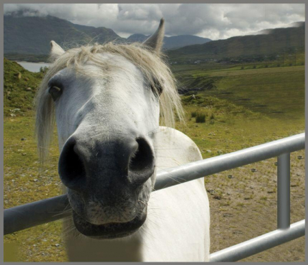 Proiector tip lanterna - Caluti [11]