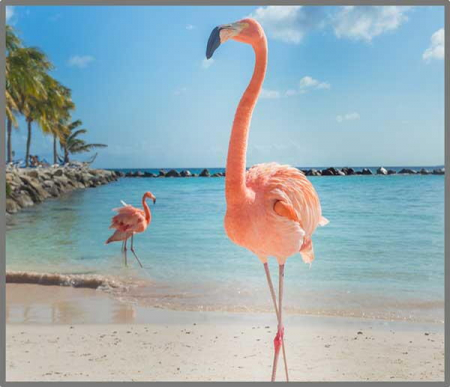 Proiector tip lanterna - Distractie cu animalute [7]