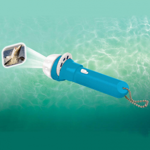 Proiector tip lanterna - Rechini [1]