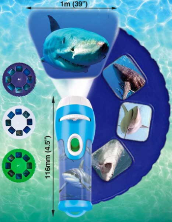 Proiector tip lanterna - Rechini periculosi [3]