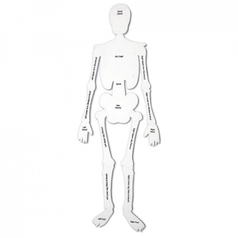 Puzzle de podea - Schelet [3]