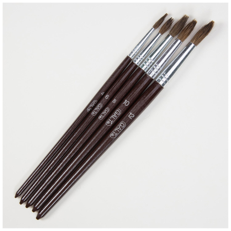 Set 5 pensule pictura [1]