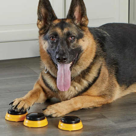 Set dresaj caini - Sonerii dresaj catel cuvinte esentiale [4]