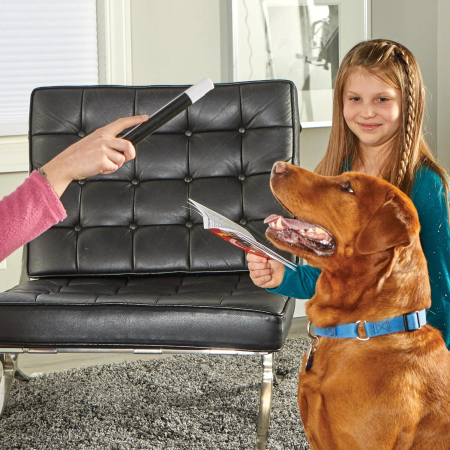 Set dresaj caini - Trucuri magice [6]