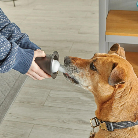 Set dresaj caini - Trucuri magice [5]