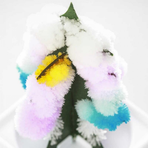 Set experimente - Copacul magic [6]