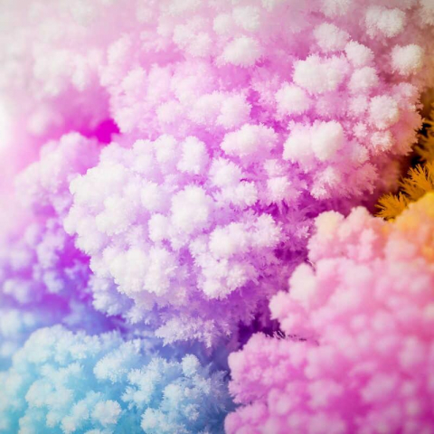 Set experimente - Copacul magic [5]