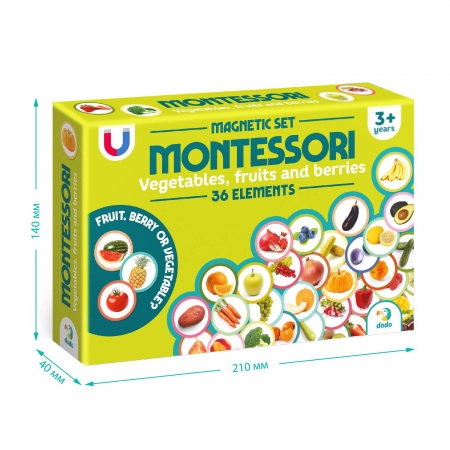 Set magneti Montessori - Fructe si legume [5]