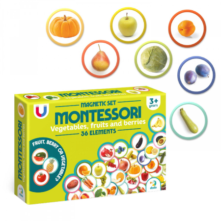 Set magneti Montessori - Fructe si legume [1]