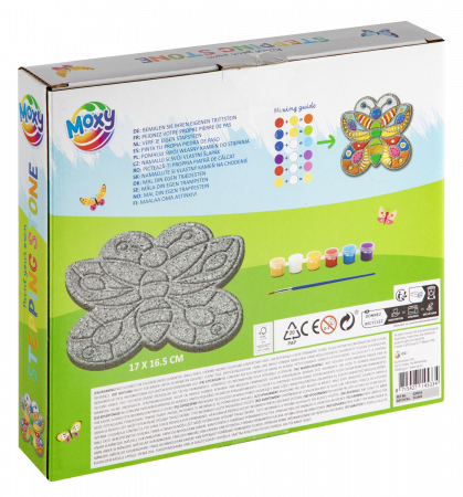 Set pictura pe piatra - Fluturas [1]