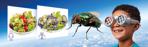 Set STEM - Descopera lumea prin alti ochi [10]