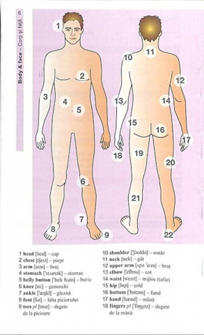 Vocabularul de baza in imagini - Limba engleza [6]