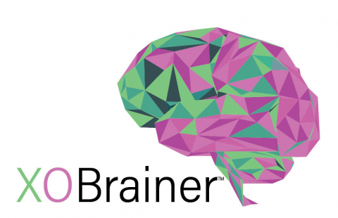 X si 0 multidimensional XOBrainer [8]