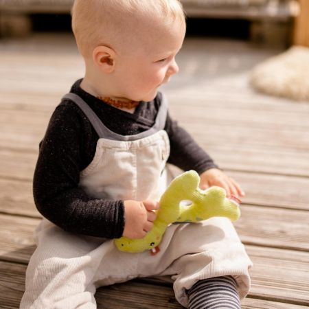 Zornaitoare - Dinozaur [1]