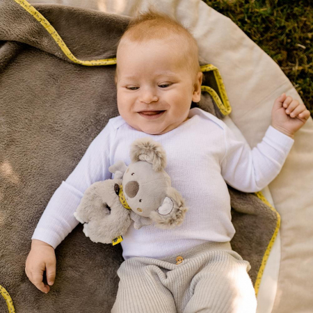 Zornaitoare - Koala [1]