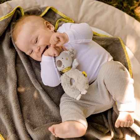 Zornaitoare - Koala [2]