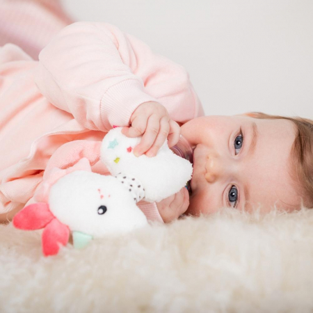 Zornaitoare  - Unicorn [3]