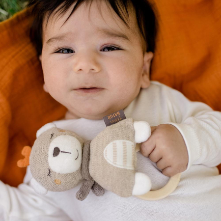 Zornaitoare - Ursulet somnoros [1]