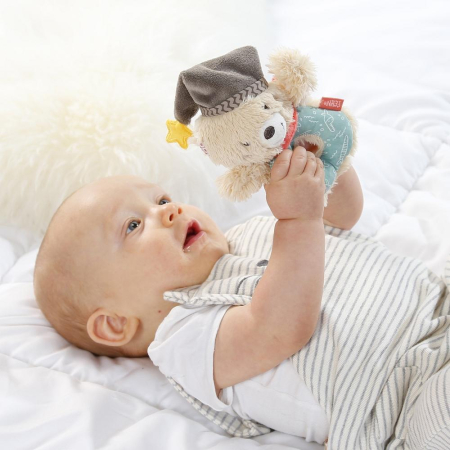 Zornaitoare - Ursuletul Bruno [2]