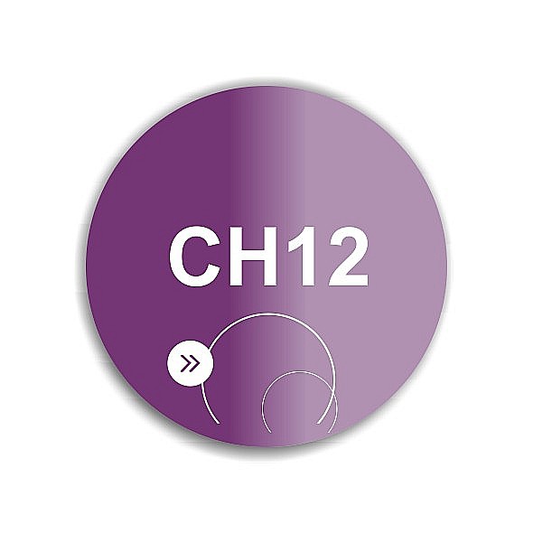 SoKwik - CH12 - So Dip Powder (29g) [1]