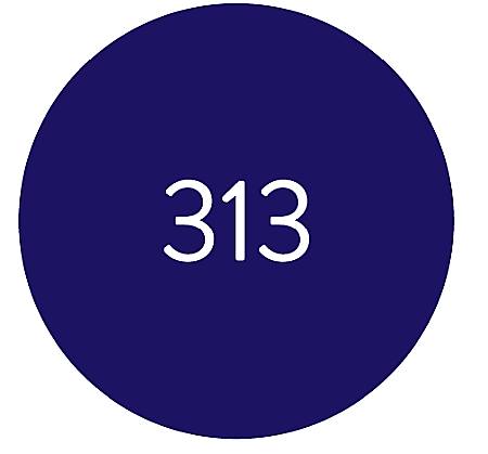 SoKwik - Oja Semipermanenta Blue&Green Collection 313 (15 ml) [1]