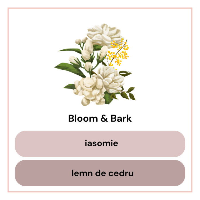 Difuzor de Cameră cu Bețișoare Bloom & Bark – Lemn de Cedru & Iasomie | 100 ml [3]
